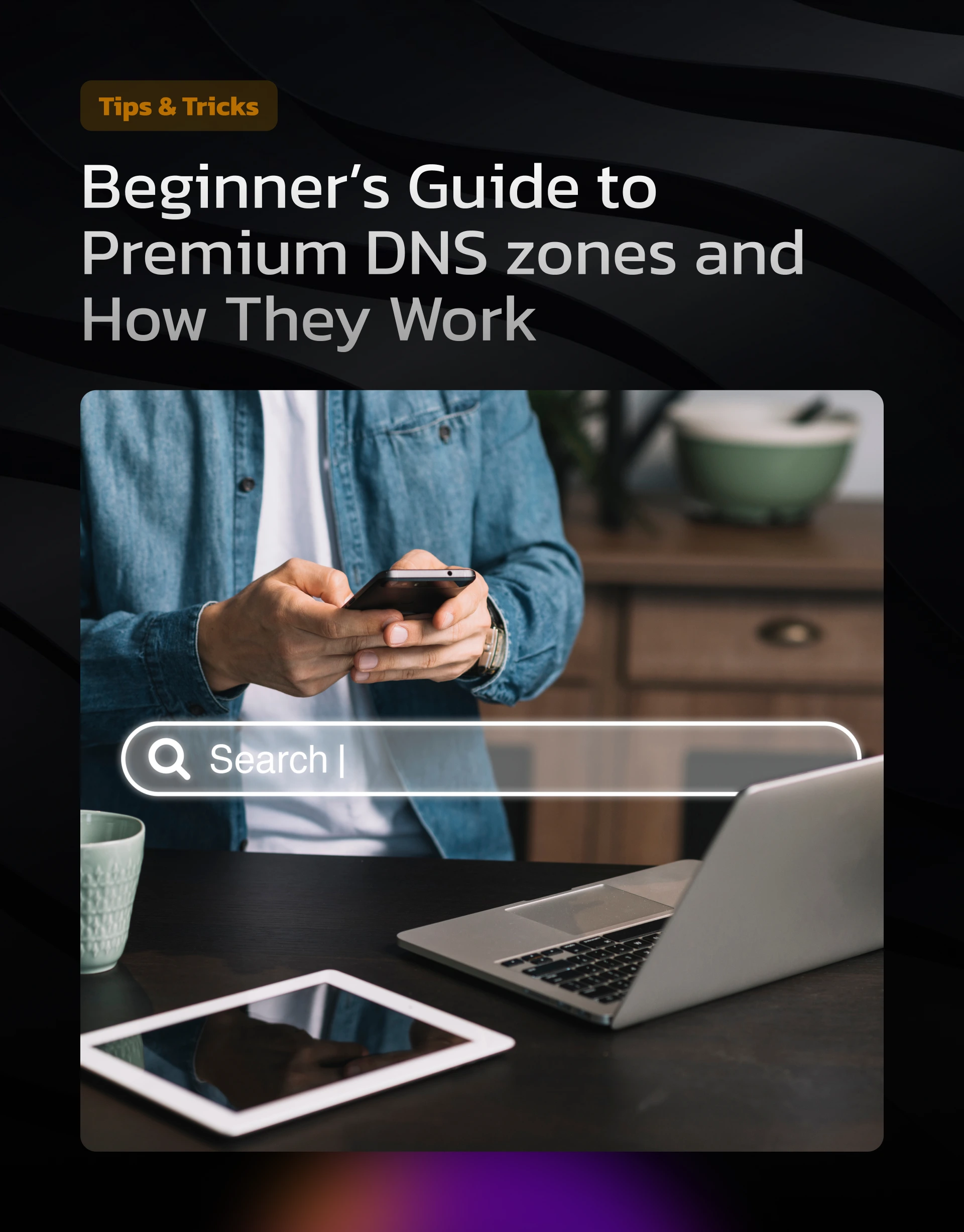 Beginner’s guide to premium DNS zones and how they work