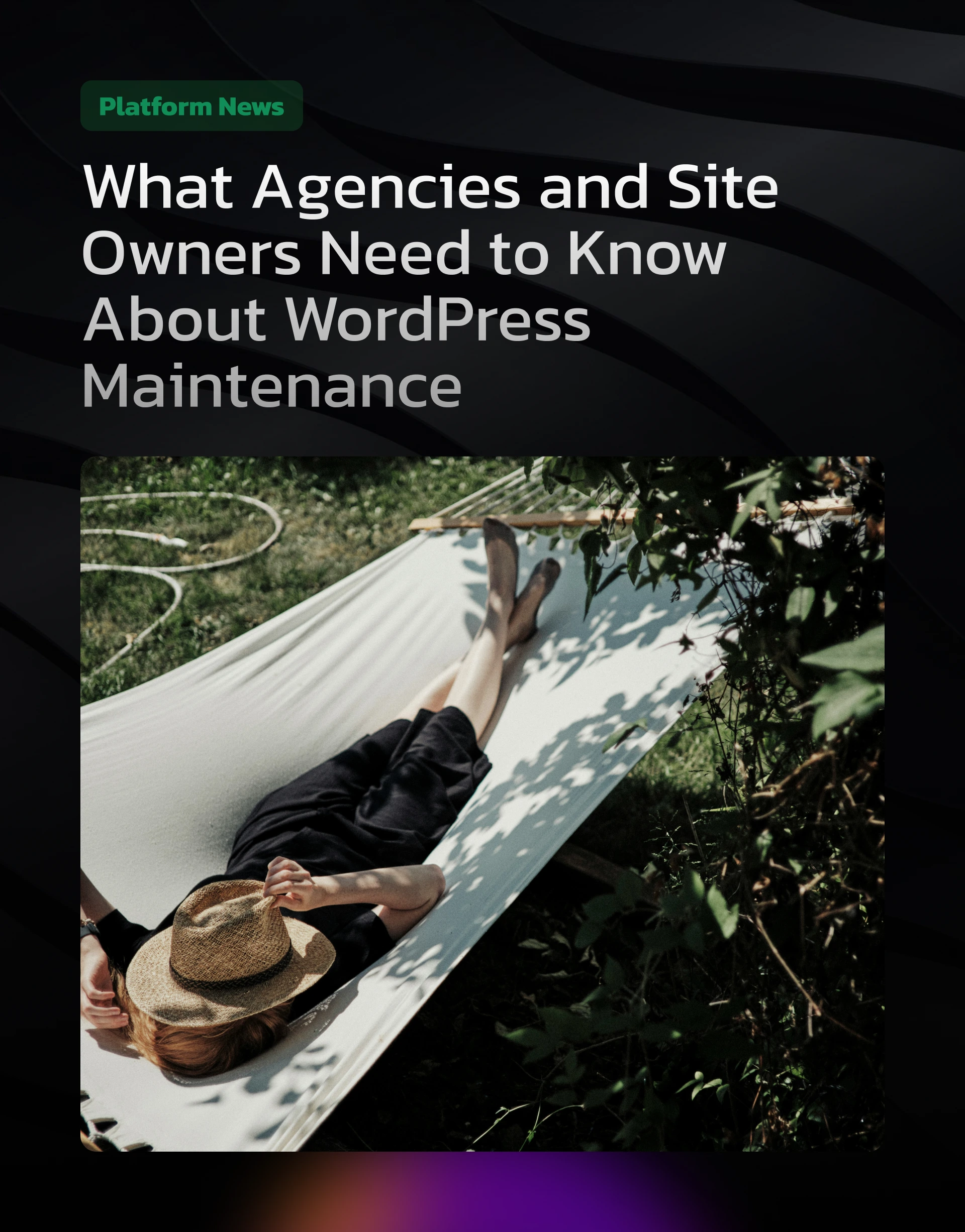 What agencies and site owners need to know about WordPress maintenance